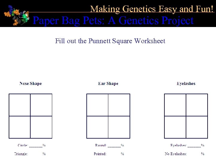 Making Genetics Easy and Fun! Paper Bag Pets: A Genetics Project Fill out the