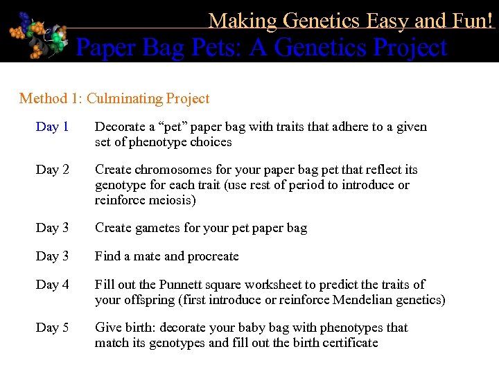 Making Genetics Easy and Fun! Paper Bag Pets: A Genetics Project Method 1: Culminating