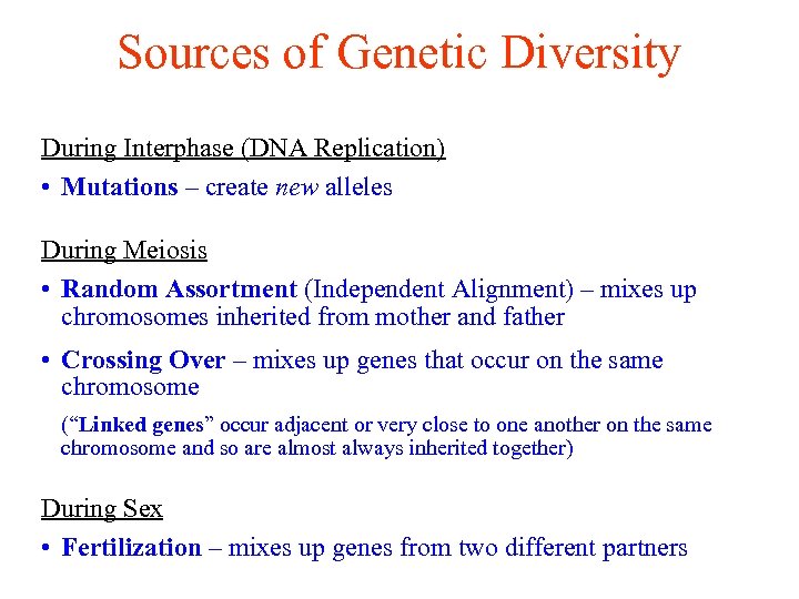 Sources of Genetic Diversity During Interphase (DNA Replication) • Mutations – create new alleles