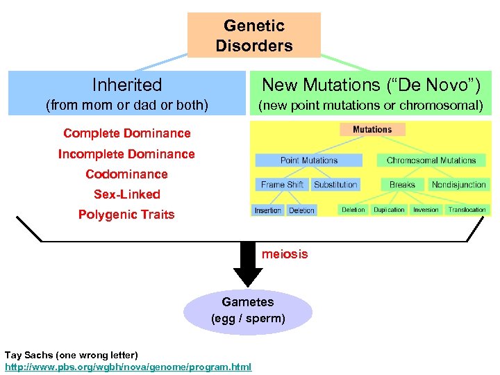 Genetic Disorders Inherited New Mutations (“De Novo”) (from mom or dad or both) (new