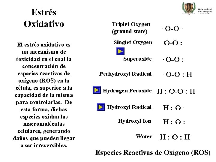 Estrés Oxidativo El estrés oxidativo es un mecanismo de toxicidad en el cual la