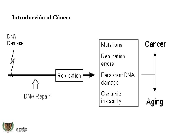 Introducción al Cáncer 