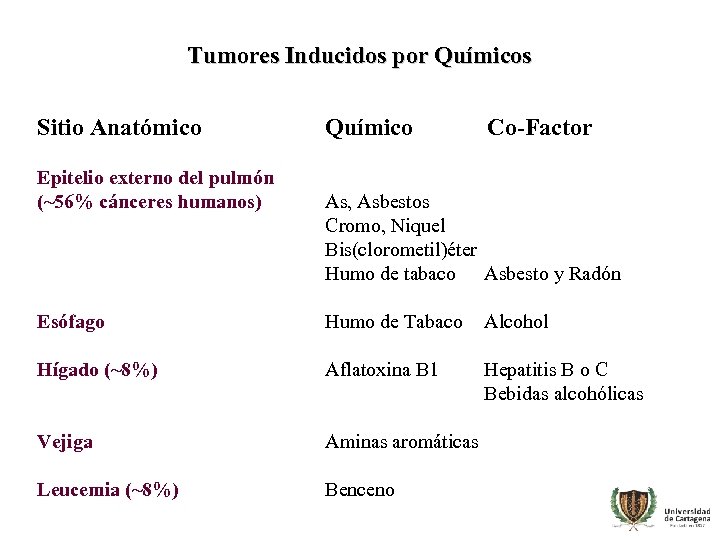 Tumores Inducidos por Químicos Sitio Anatómico Epitelio externo del pulmón (~56% cánceres humanos) Químico