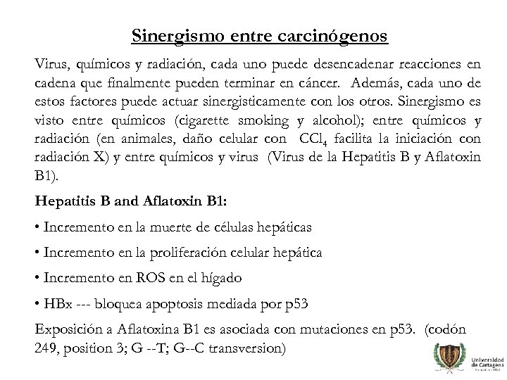 Sinergismo entre carcinógenos Virus, químicos y radiación, cada uno puede desencadenar reacciones en cadena