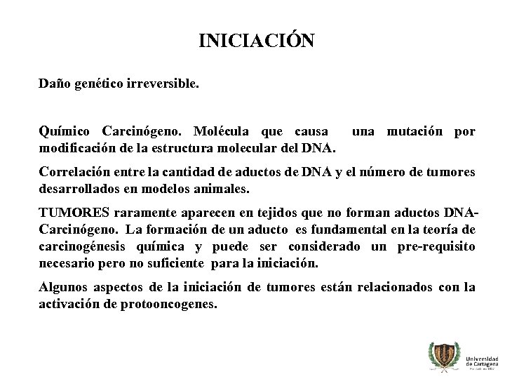 INICIACIÓN Daño genético irreversible. Químico Carcinógeno. Molécula que causa modificación de la estructura molecular