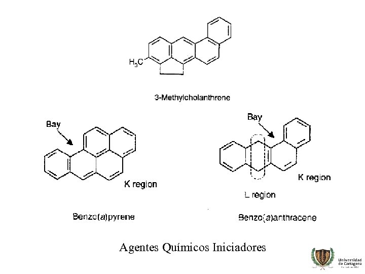 Agentes Químicos Iniciadores 