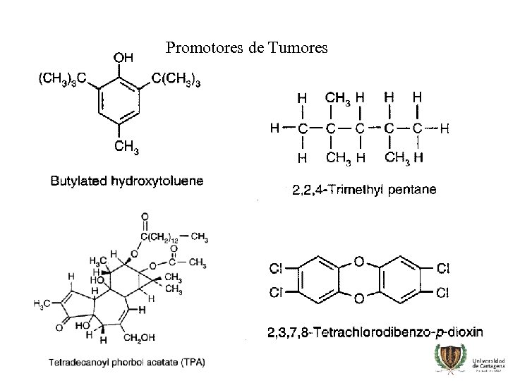 Promotores de Tumores 