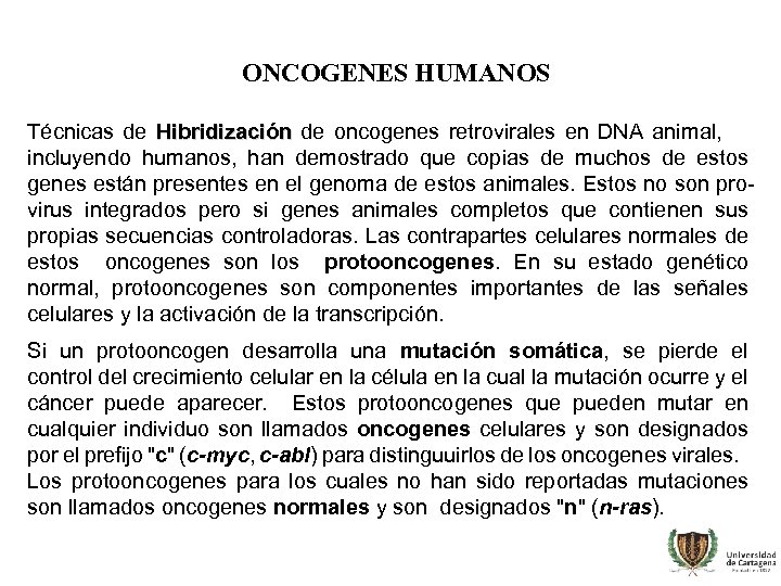 ONCOGENES HUMANOS Técnicas de Hibridización de oncogenes retrovirales en DNA animal, incluyendo humanos, han