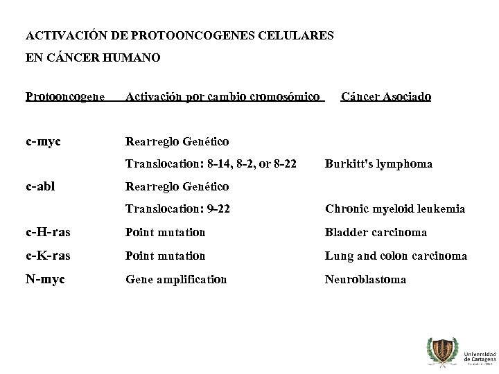 ACTIVACIÓN DE PROTOONCOGENES CELULARES EN CÁNCER HUMANO Protooncogene Activación por cambio cromosómico c-myc Rearreglo