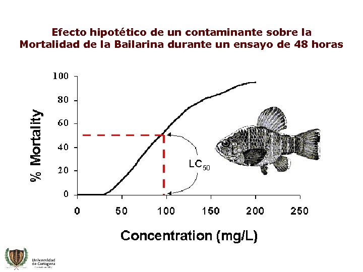 Efecto hipotético de un contaminante sobre la Mortalidad de la Bailarina durante un ensayo