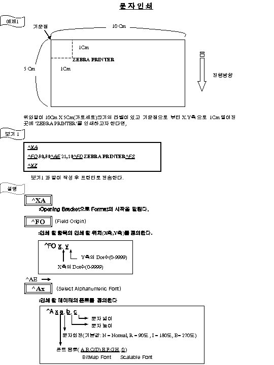 Zebra Programming Language ZPL 제브라 프로그래밍 안내서