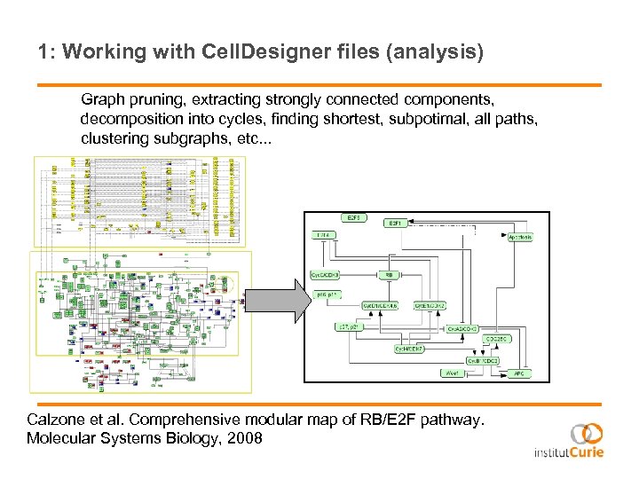 1: Working with Cell. Designer files (analysis) Graph pruning, extracting strongly connected components, decomposition