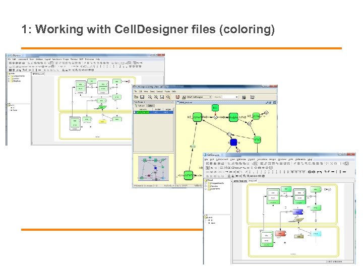 1: Working with Cell. Designer files (coloring) 