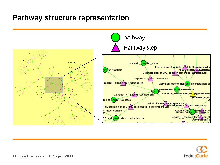 Pathway structure representation pathway Pathway step ICSB Web-services - 28 August 2008 