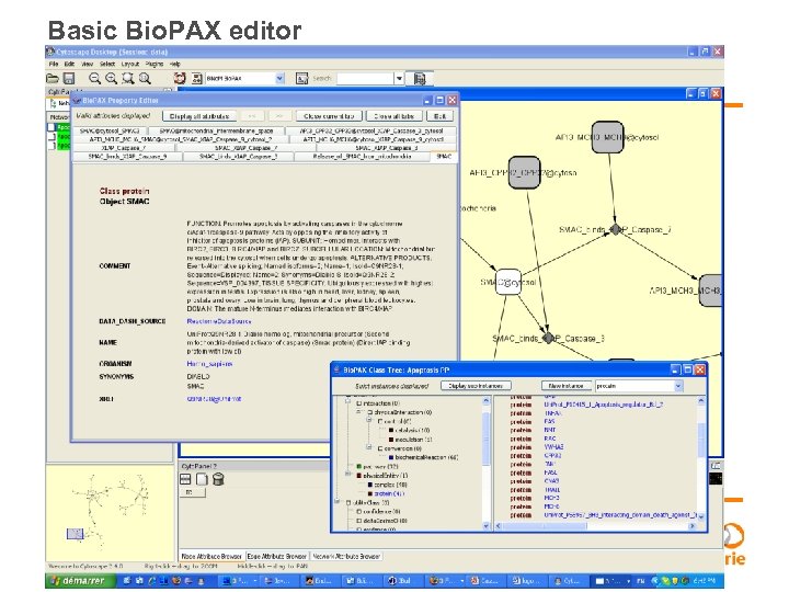 Basic Bio. PAX editor 