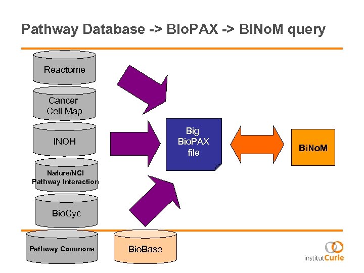 Pathway Database -> Bio. PAX -> Bi. No. M query Reactome Cancer Cell Map