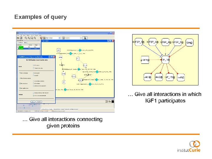 Examples of query … Give all interactions in which IGF 1 participates … Give