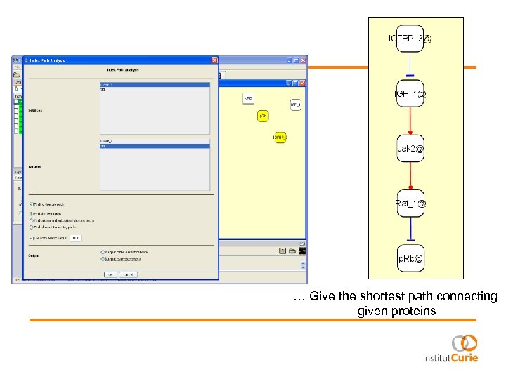 … Give the shortest path connecting given proteins 