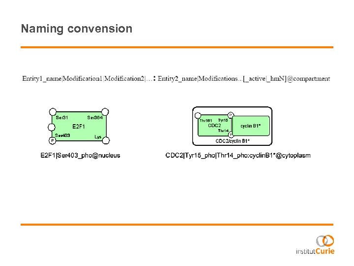 Naming convension 