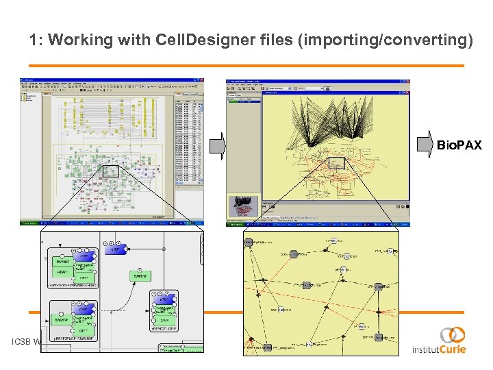 1: Working with Cell. Designer files (importing/converting) Bio. PAX ICSB Web-services - 28 August