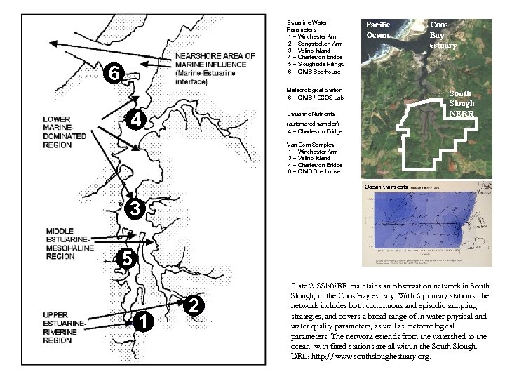 Estuarine Water Parameters 1 – Winchester Arm 2 – Sengstacken Arm 3 – Valino