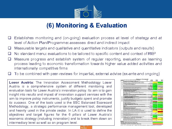 (6) Monitoring & Evaluation q Establishes monitoring and (on-going) evaluation process at level