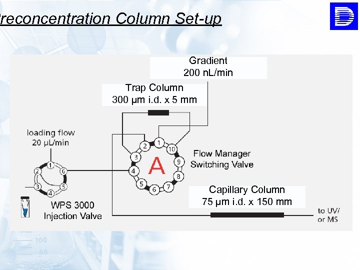 Preconcentration Column Set-up Gradient 200 n. L/min Trap Column 300 µm i. d. x