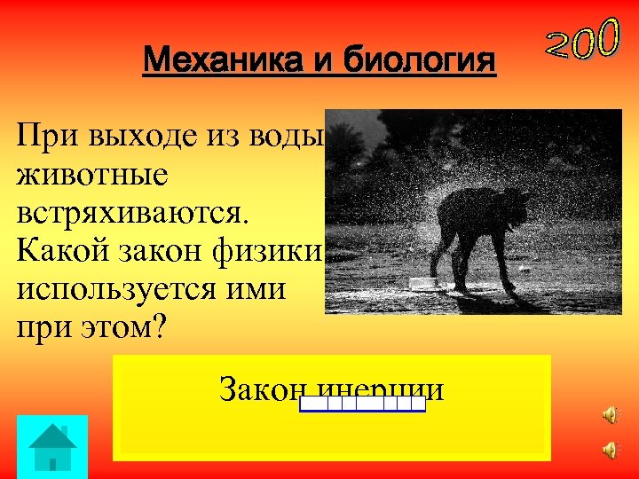 Механика и биология При выходе из воды животные встряхиваются. Какой закон физики используется ими