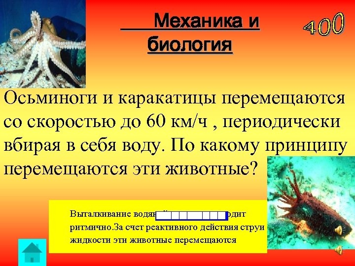 Механика и биология Осьминоги и каракатицы перемещаются со скоростью до 60 км/ч , периодически