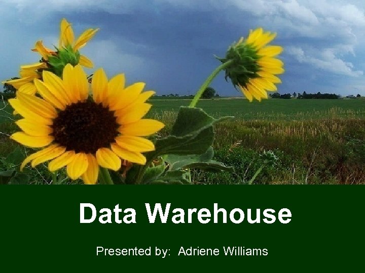 Data Warehouse Presented by: Adriene Williams 1 