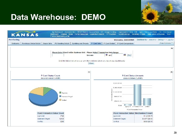 Data Warehouse: DEMO 29 