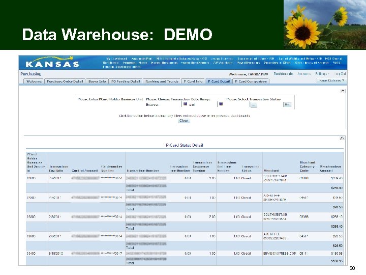 Data Warehouse: DEMO 30 