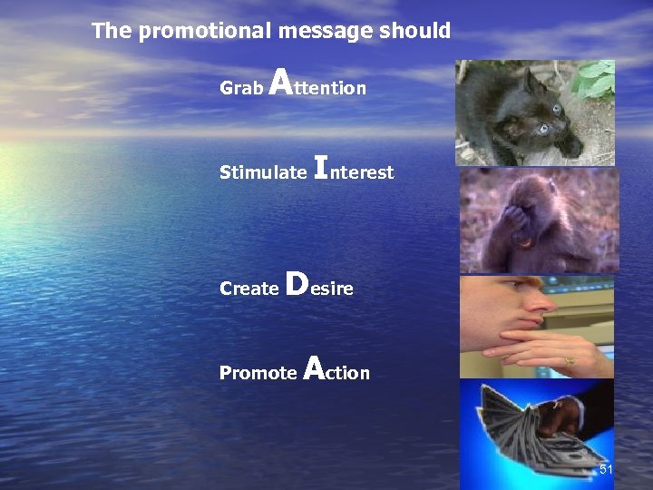 The promotional message should Grab Attention Stimulate Create Interest Desire Promote Action 51 