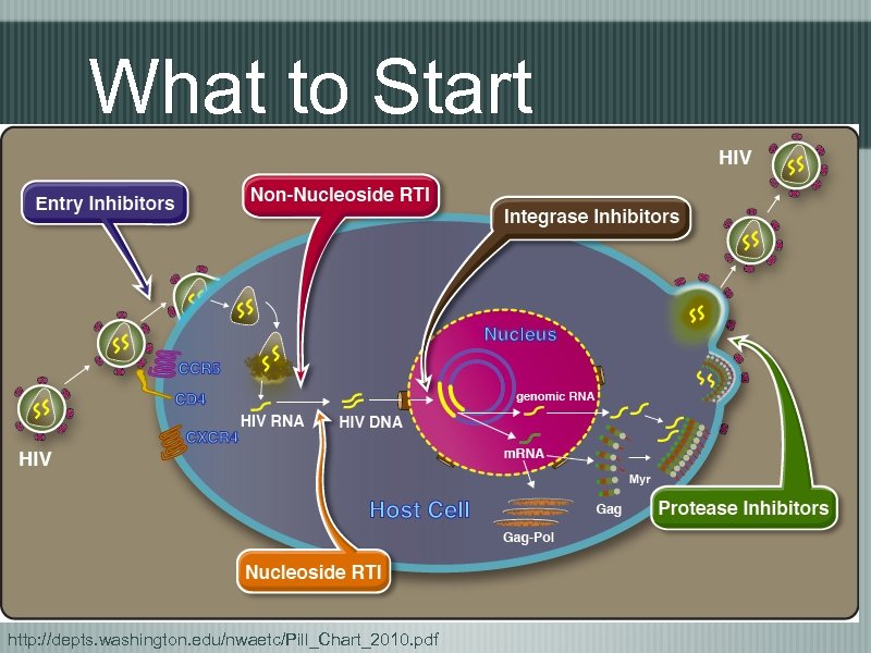What to Start http: //depts. washington. edu/nwaetc/Pill_Chart_2010. pdf 