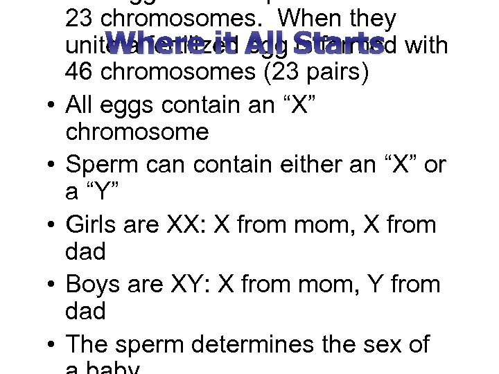  • • • 23 chromosomes. When they unite a fertilized All Starts with