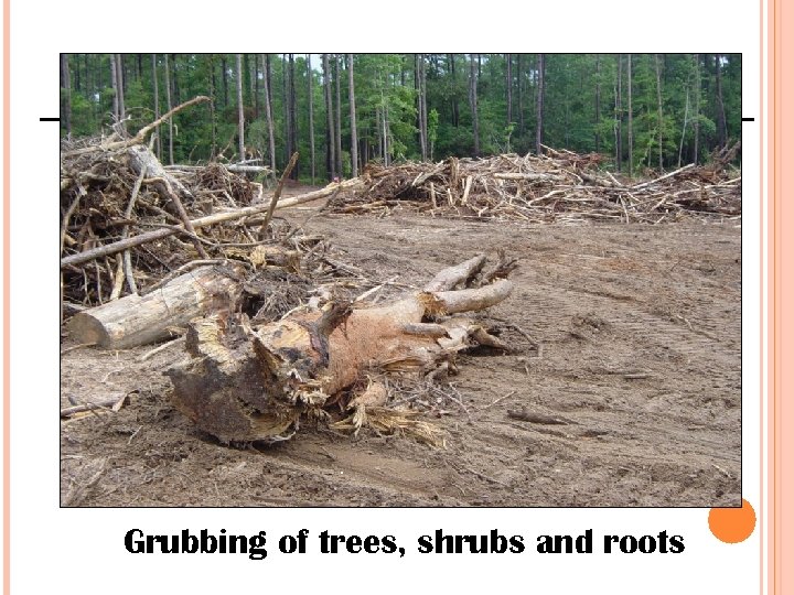 Grubbing of trees, shrubs and roots 