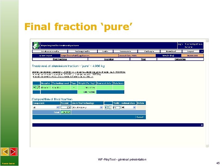 Final fraction ‘pure’ WF-Rep. Tool - general presentation Renate Gabriel 45 