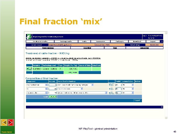 Final fraction ‘mix’ WF-Rep. Tool - general presentation Renate Gabriel 46 