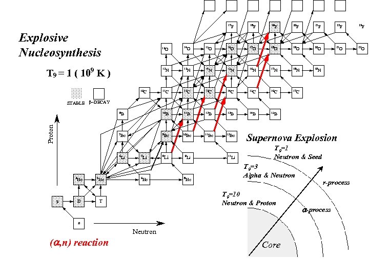 17 Explosive Nucleosynthesis 13 T 9 = 1 ( 109 K ) O F