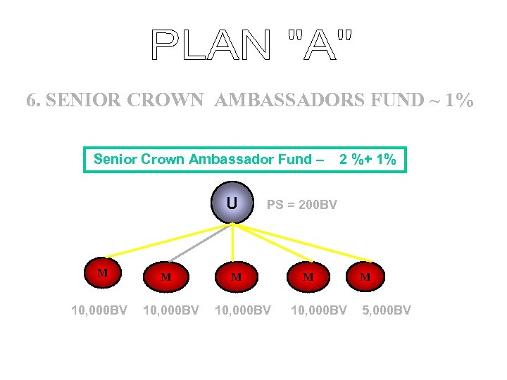 6. SENIOR CROWN AMBASSADORS FUND ~ 1% Senior Crown Ambassador Fund – U M