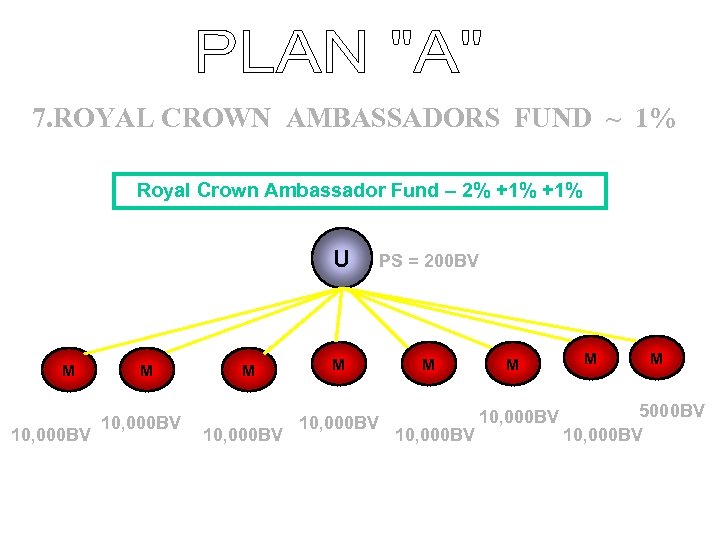7. ROYAL CROWN AMBASSADORS FUND ~ 1% Royal Crown Ambassador Fund – 2% +1%