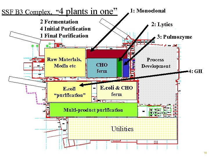 SSF B 3 Complex, “ 4 plants in one” 1: Monoclonal 2 Fermentation 4