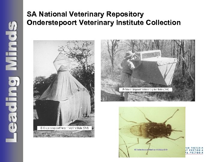 SA National Veterinary Repository Onderstepoort Veterinary Institute Collection 
