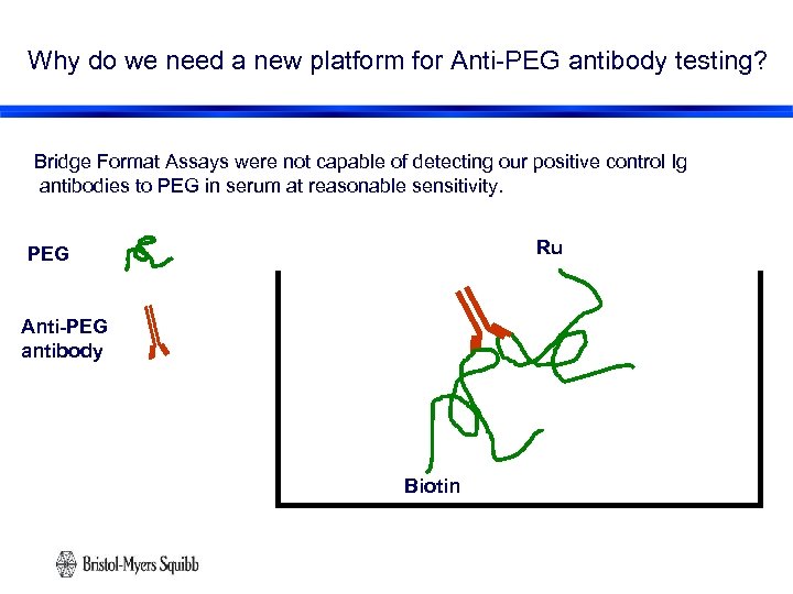 Why do we need a new platform for Anti-PEG antibody testing? Bridge Format Assays