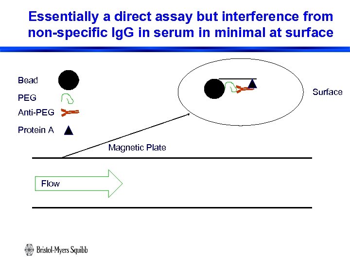 Essentially a direct assay but interference from non-specific Ig. G in serum in minimal