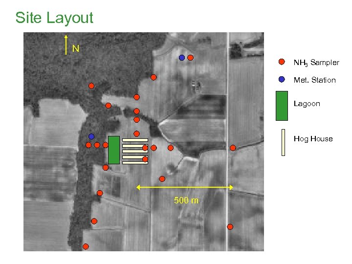 Site Layout N NH 3 Sampler Met. Station Lagoon Hog House 500 m 