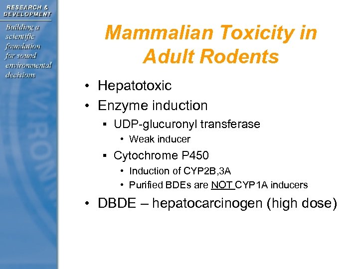 Mammalian Toxicity in Adult Rodents • Hepatotoxic • Enzyme induction § UDP-glucuronyl transferase •