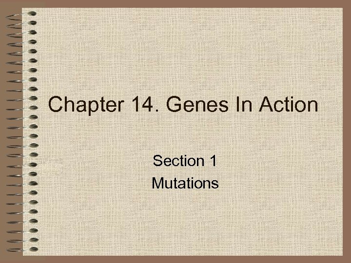 Chapter 14. Genes In Action Section 1 Mutations 