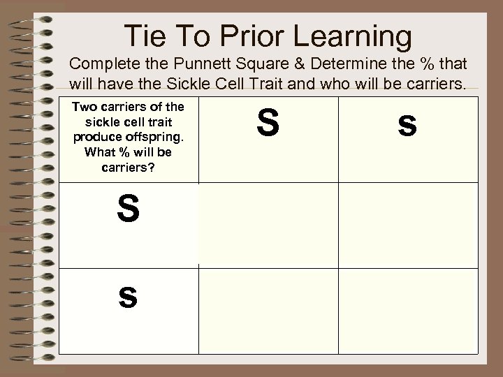 Tie To Prior Learning Complete the Punnett Square & Determine the % that will