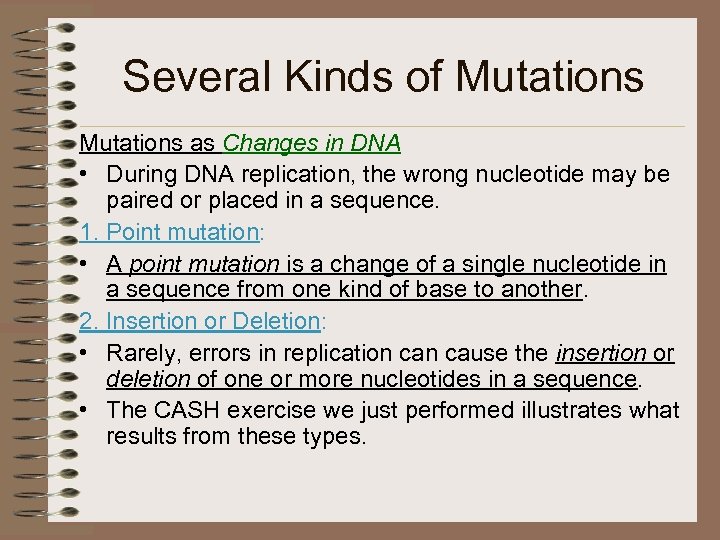 Several Kinds of Mutations as Changes in DNA • During DNA replication, the wrong